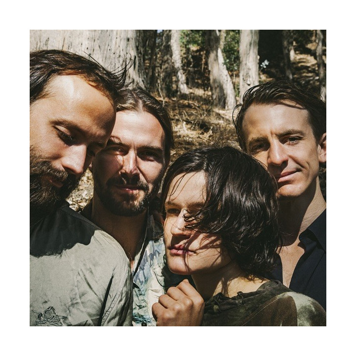 BIG THIEF - TWO HANDS - LP