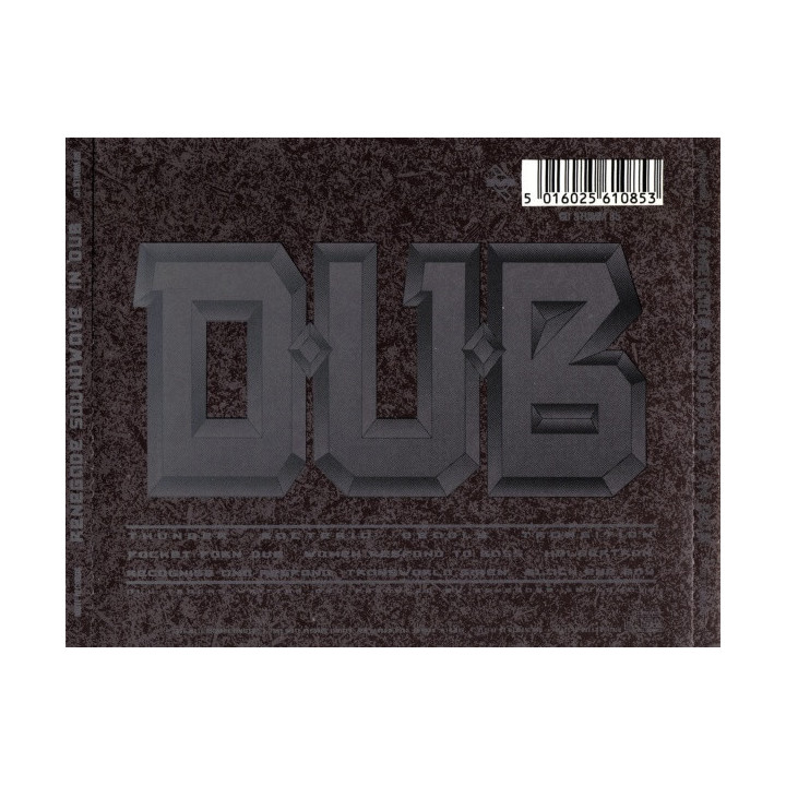 RENEGADE SOUNDWAVE - IN DUB - 1CD