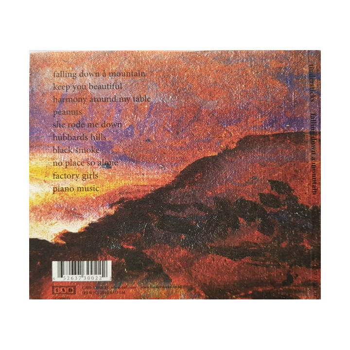 TINDERSTICKS - FALLING DOWN A MOUNTAIN - 1CD