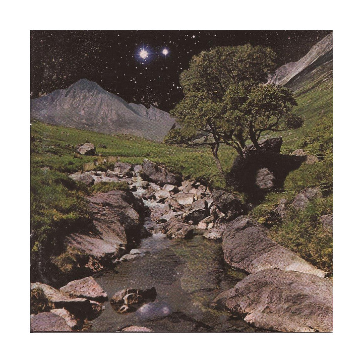 BETA BAND  - THE BETA BAND - 1CD