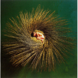 GABRIEL PETER  - PETER GABRIEL 3 - REM. - 1CD