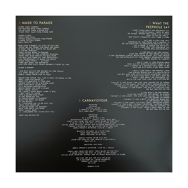 Queens of the Stone Age - In Times New Roman... - 2LP (Silver Vinyl)