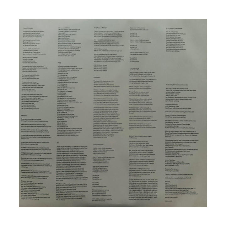 Nick Cave & The Bad Seeds – Wild God - 1LP Limited Edition, Clear Vinyl