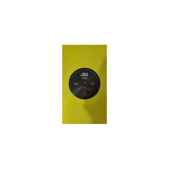 Arlo Parks – Collapsed In Sunbeams - 1LP front cover