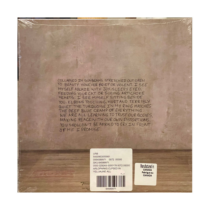 Arlo Parks – Collapsed In Sunbeams - 1LP front cover