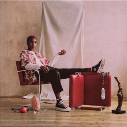 Arlo Parks – Collapsed In Sunbeams - 1LP front cover