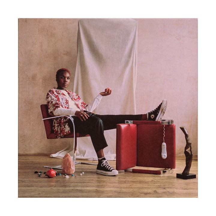 Arlo Parks – Collapsed In Sunbeams - 1LP front cover