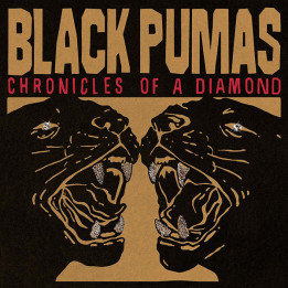 Black Pumas – Chronicles Of A Diamond - 1LP