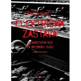 ŽIKICA SIMIĆ - ELEKTRIČNA ZASTAVA