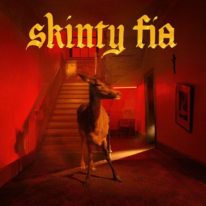 FONTAINES D.C. - SKINTY FIA - 1LP