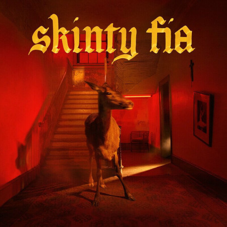 FONTAINES D.C. - SKINTY FIA - 1LP