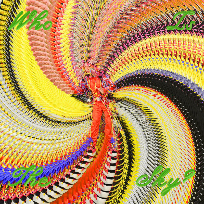 DAVID BYRNE - WHO IS THE SKY - 1LP