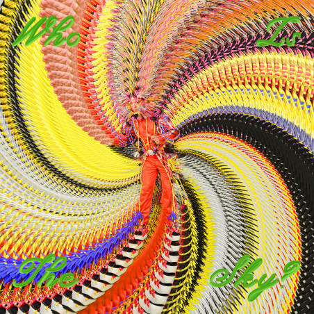 DAVID BYRNE - WHO IS THE SKY - 1LP