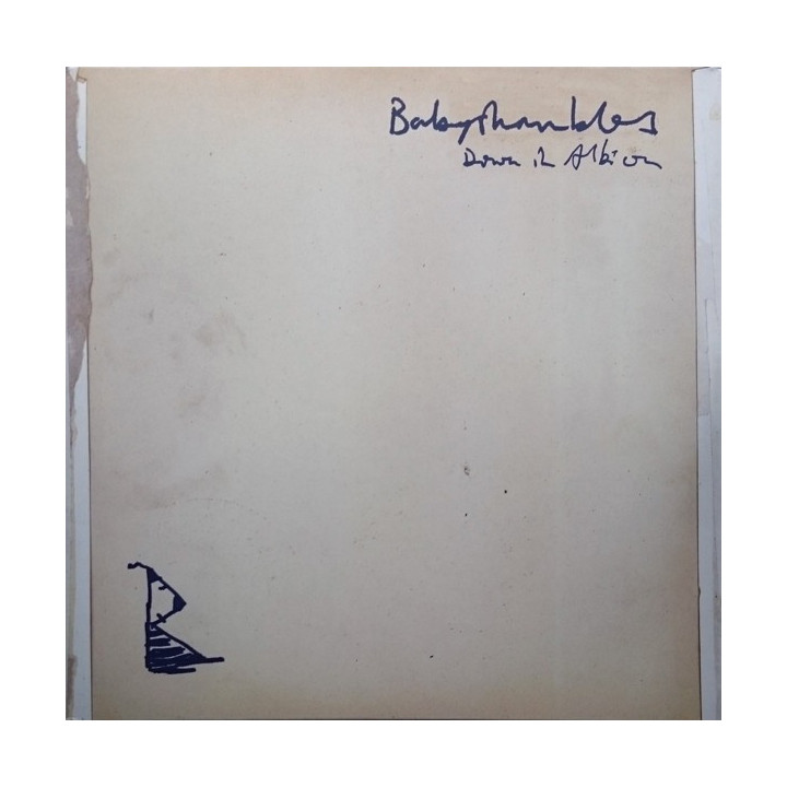 BABYSHAMBLES - DOWN IN ALBION