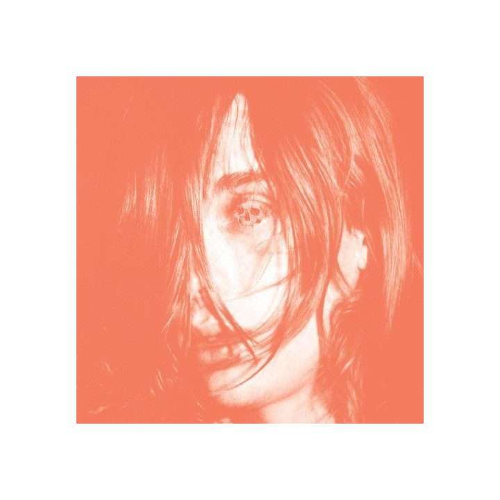 DEERHUNTER - MICROCASTLE / WEIRD ERA CONTINUED