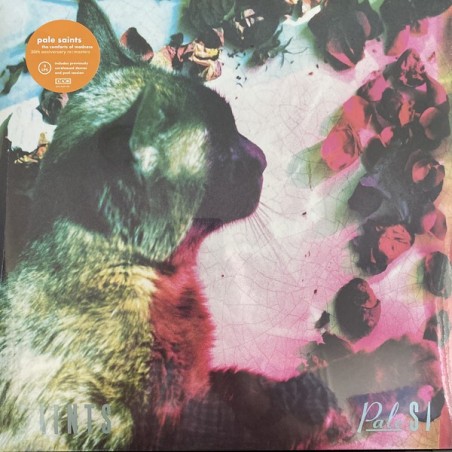 PALE SAINTS - THE COMFORTS OF MADNESS - 2LP