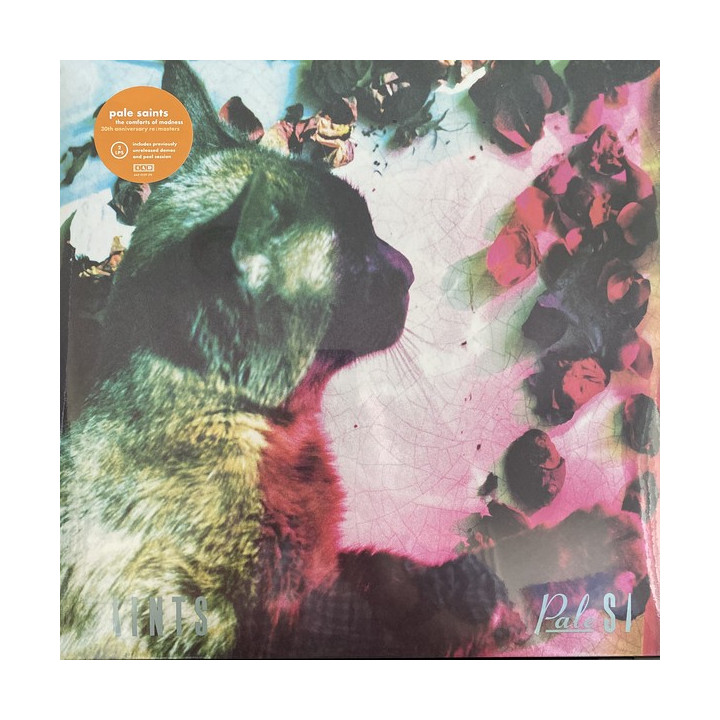 PALE SAINTS - THE COMFORTS OF MADNESS - 2LP