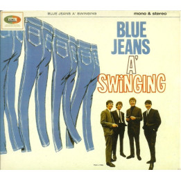 VARIOUS                  A8228 - SWINGING BLUE JEANS - 1CD