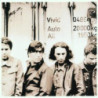 VIVID                    B3355 - AUTO ALL - 1CD