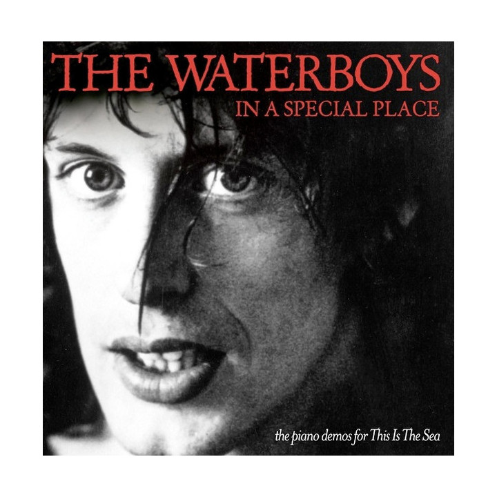 WATERBOYS - IN A SPECIAL PLACE - 1CD