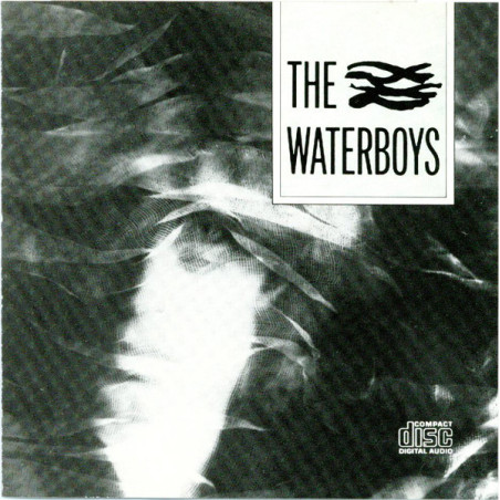 WATERBOYS,THE            A3876 - WATERBOYS - 1CD