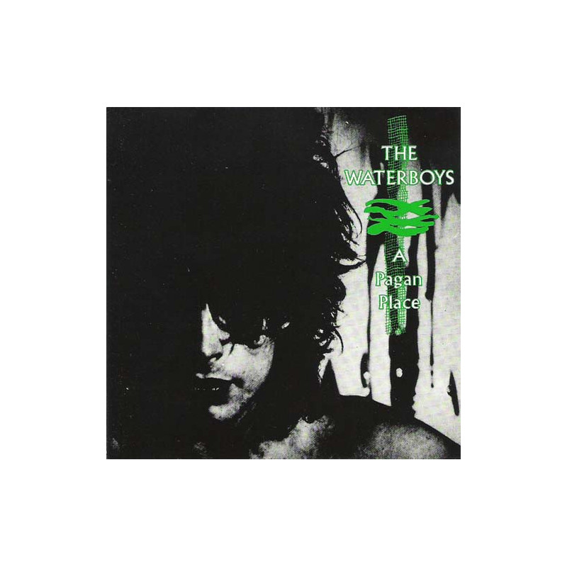WATERBOYS,THE            A3877 - A PAGAN PLACE - 1CD