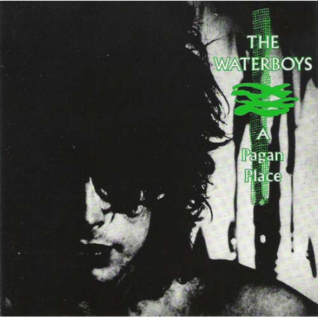 WATERBOYS,THE            A3877 - A PAGAN PLACE - 1CD