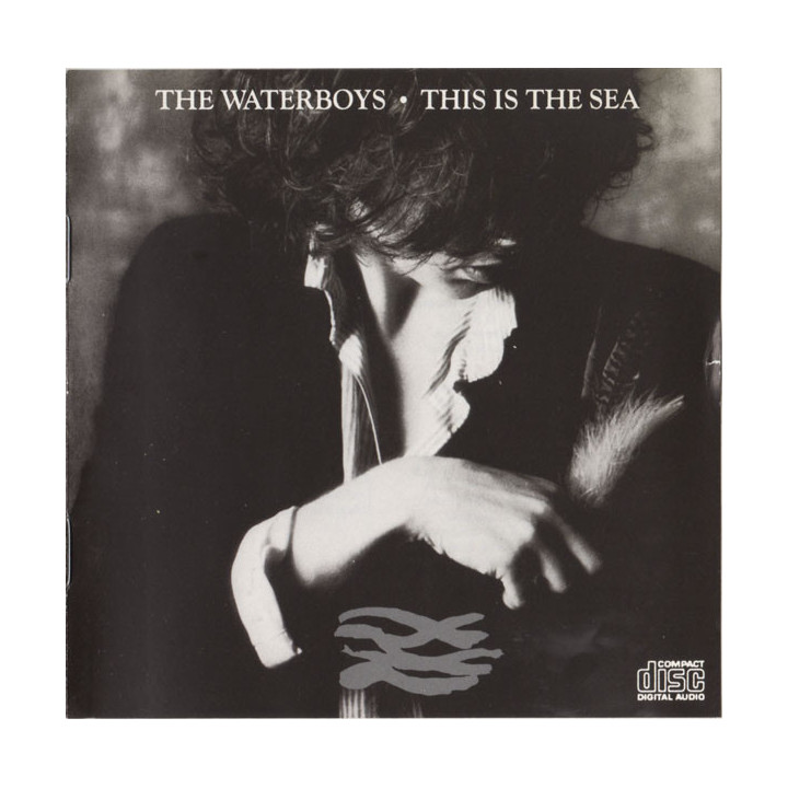 WATERBOYS,THE            A3878 - THIS IS THE SEA - 1CD