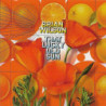 WILSON BRIAN - THAT LUCKY OLD SUN - 1CD