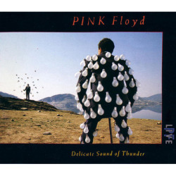 PINK FLOYD               A3446 - DELICATE SOUND OF THUNDER - 2CD
