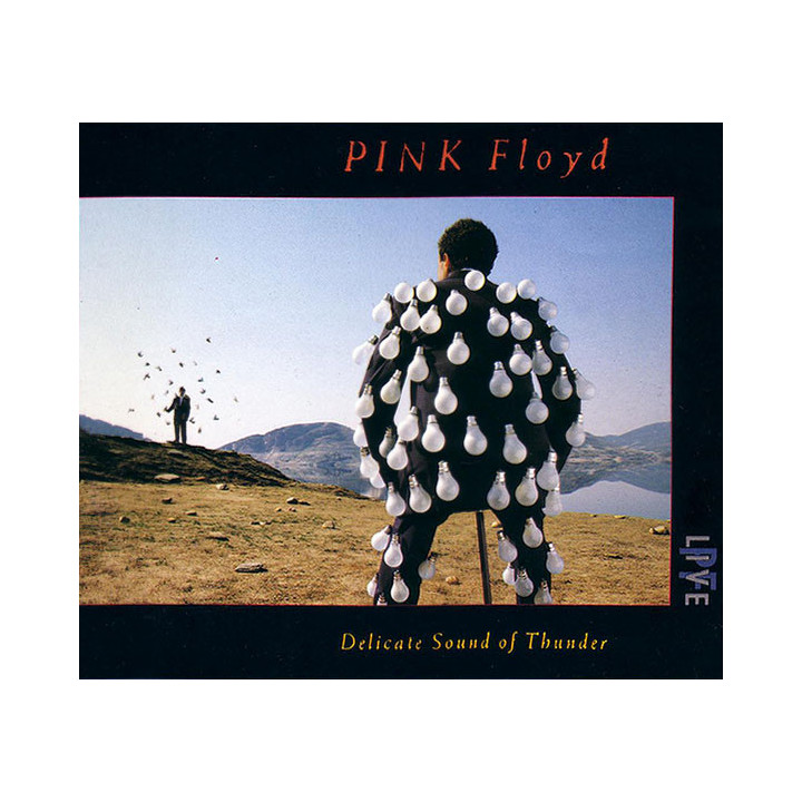 PINK FLOYD - DELICATE SOUND OF THUNDER - 2CD