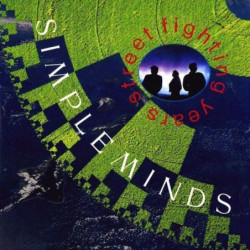 SIMPLE MINDS             A2763 - STREET FIGHTING YEARS - 1CD