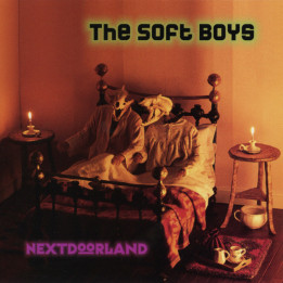 SOFT BOYS,THE/CD         B6582 - NEXTDOORLAND/CD - 1CD