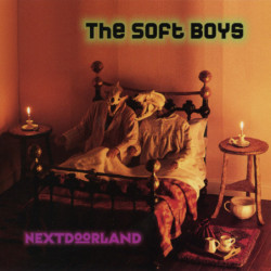 SOFT BOYS,THE/CD         B6582 - NEXTDOORLAND/CD - 1CD