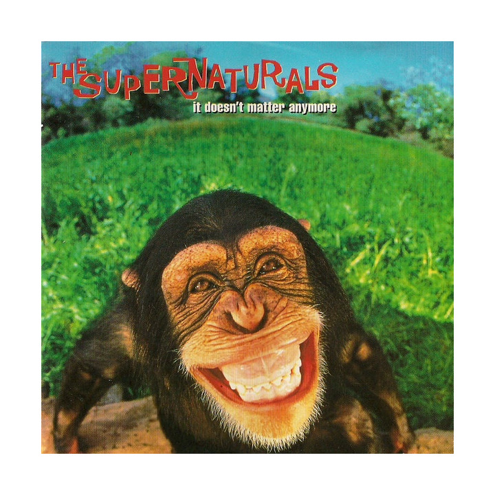 SUPERNATURALS - IT DOESN'T MATTER ANYMORE - 1CD