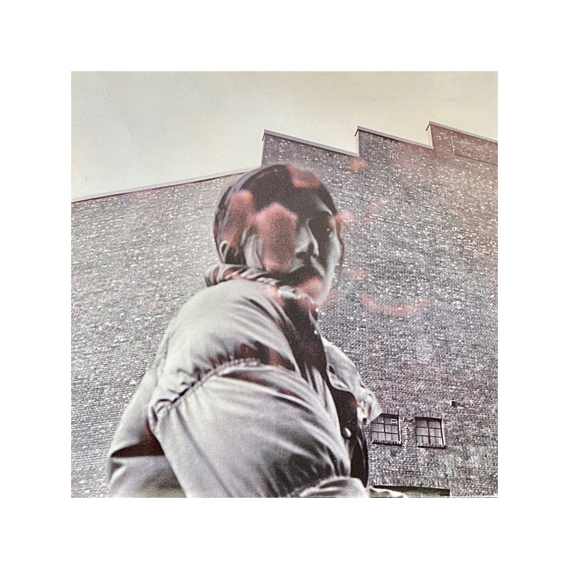 ALDOUS HARDING - Warm Chris - LP