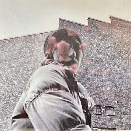 ALDOUS HARDING - Warm Chris - LP