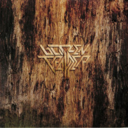 BLITZEN TRAPPER - Furr - (Deluxe) LP