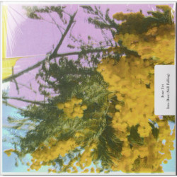 FOUR TET - Into Dust - 12'' VINYL