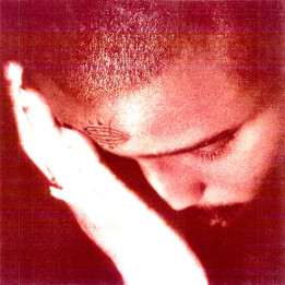 NOURISHED BY TIME - The Passionate - LP