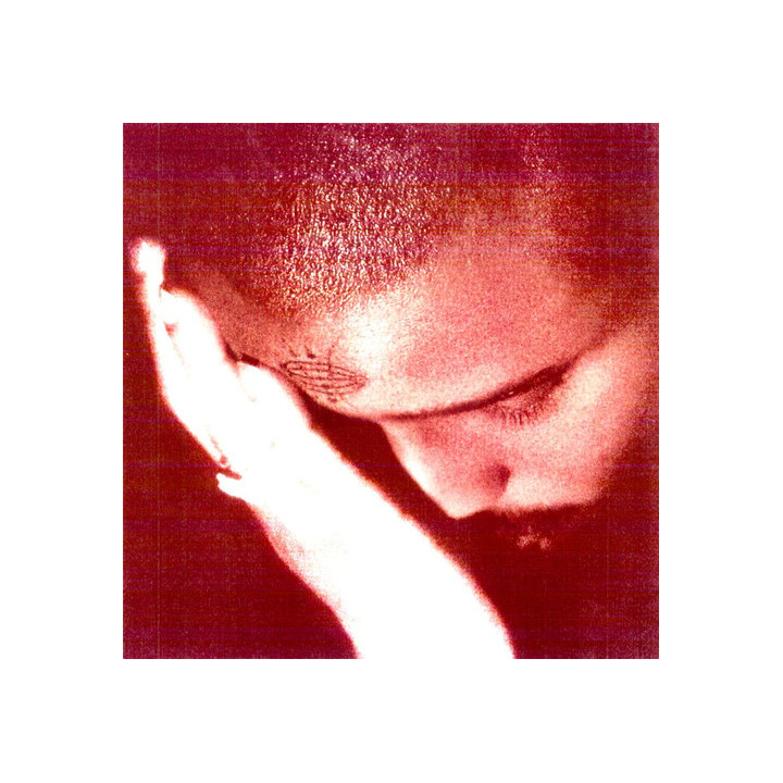 NOURISHED BY TIME - The Passionate - LP