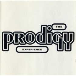 THE PRODIGY - Experience - 2LP