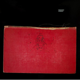 RADIOHEAD - Amnesiac - 2LP