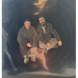 SLEAFORD MODS - The Demise Of Planet X - LPE