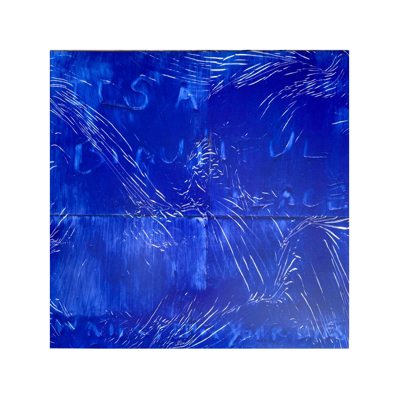 WATER FROM YPOUR EYES - It's A Beautiful Place - LP
