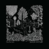 DEAD CAN DANCE - Garden Of The Arcane/The John Peel Sessions - CD