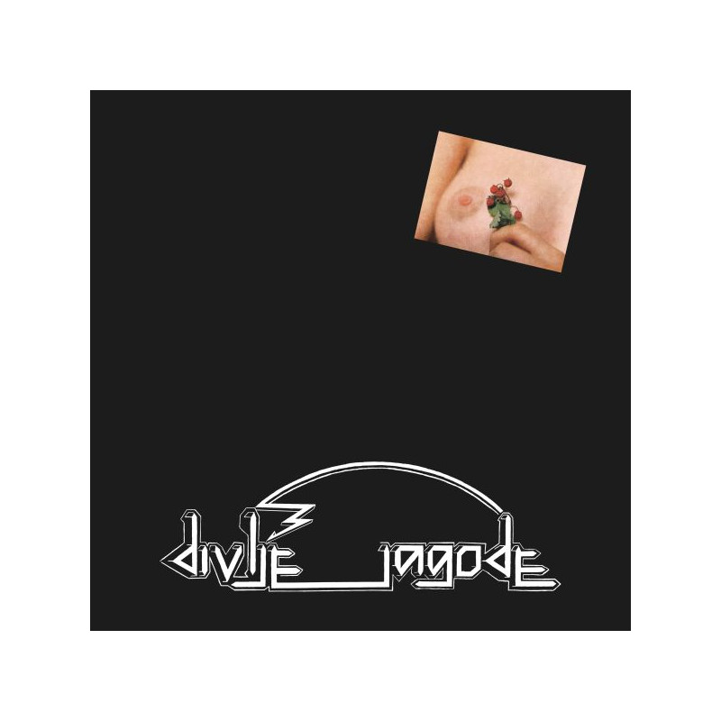DIVLJE JAGODE - DIVLJE JAGODE - 1LP