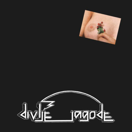 DIVLJE JAGODE - DIVLJE JAGODE - 1LP