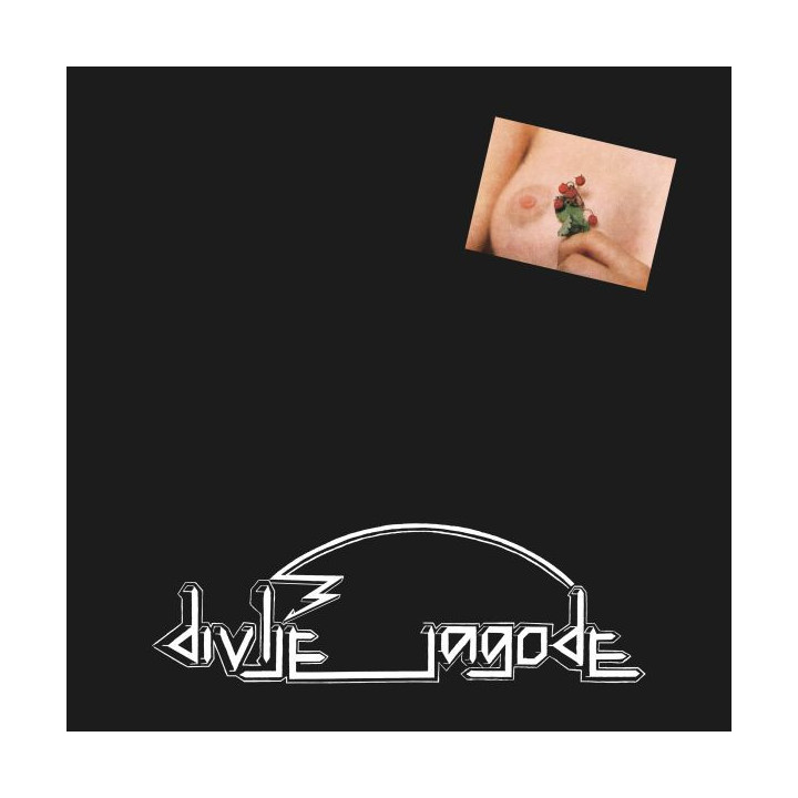 DIVLJE JAGODE - DIVLJE JAGODE - 1LP