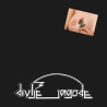 DIVLJE JAGODE - DIVLJE JAGODE - 1LP
